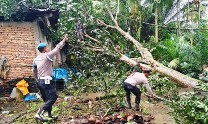 Polsek Darul Aman Sigap Bantu Warga Bersihkan Puing Rumah yang Tertimpa Pohon di Aceh Timur
