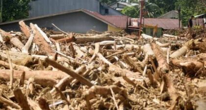 Bupati Aceh Timur Soroti Dugaan Penebangan Liar di Wilayah Hulu Sungai